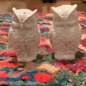 Glazed white ceramic Owl salt & pepper shakers